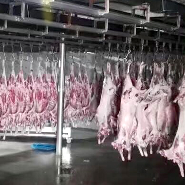 Y(ji)(gu)I(y) Y(ji)(gu)I(y)